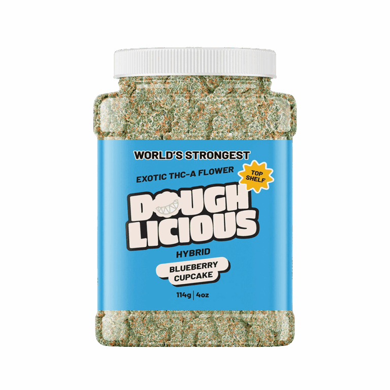 Doughlicious_QP - Blueberry Cupcake