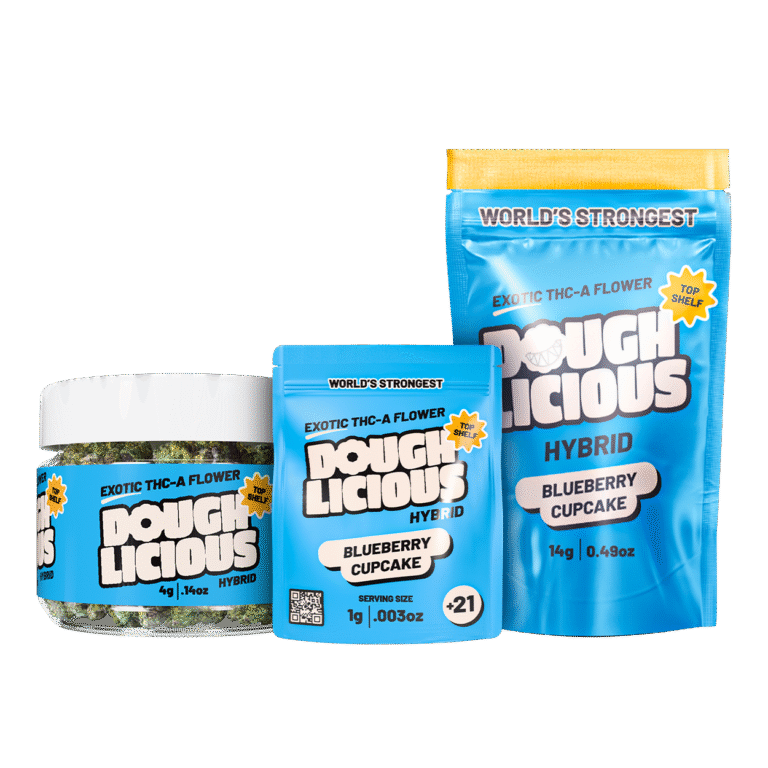 Doughlicious-COA's-BlueberryCupcake